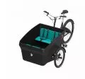 Triobike Boxter mit Brose Antrieb schwarz mit 4 Kindersitzen e-bikes4you.com
