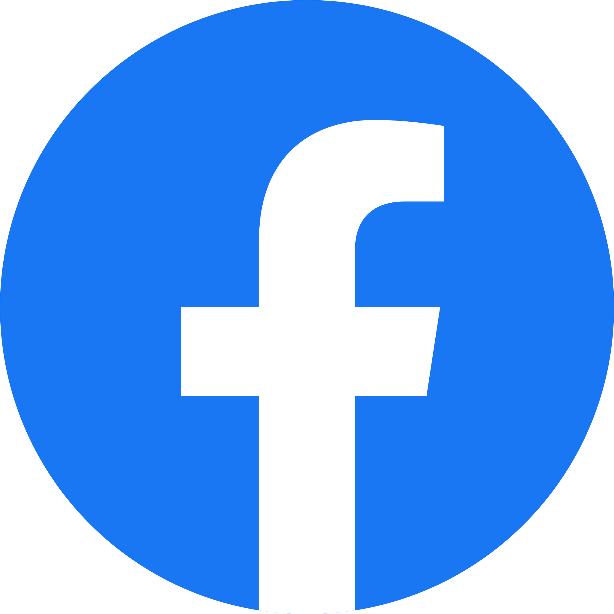 Facebook_f_logo__2019_